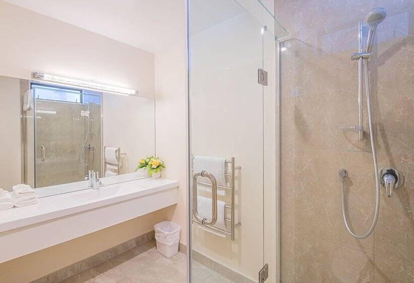 إستوديو قياسى, Auckland Newmarket Motel