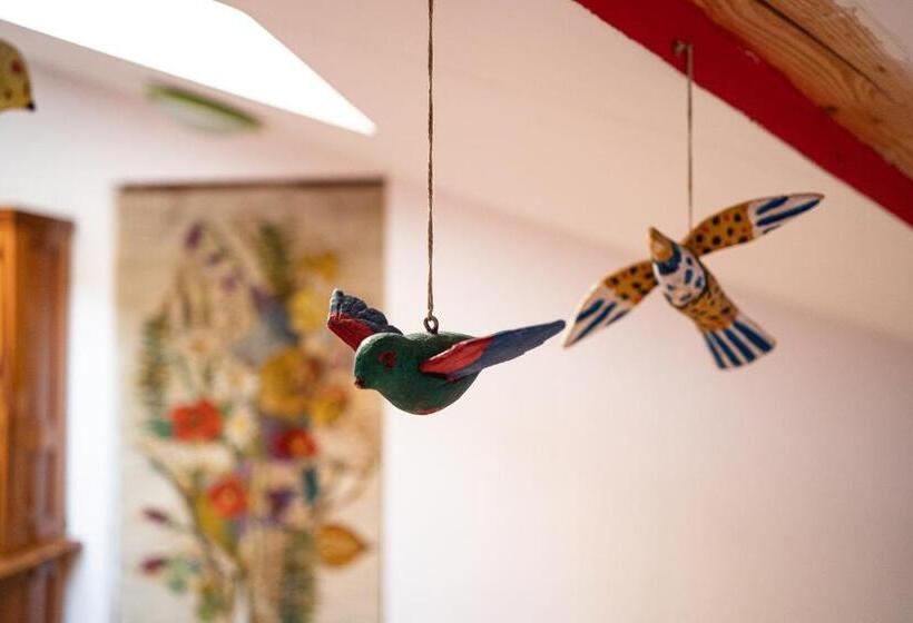 شقة غرفتين, Kolory Guest House