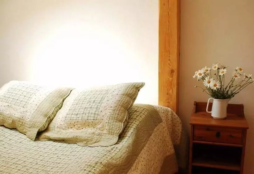 اتاق استاندارد, Kolory Guest House