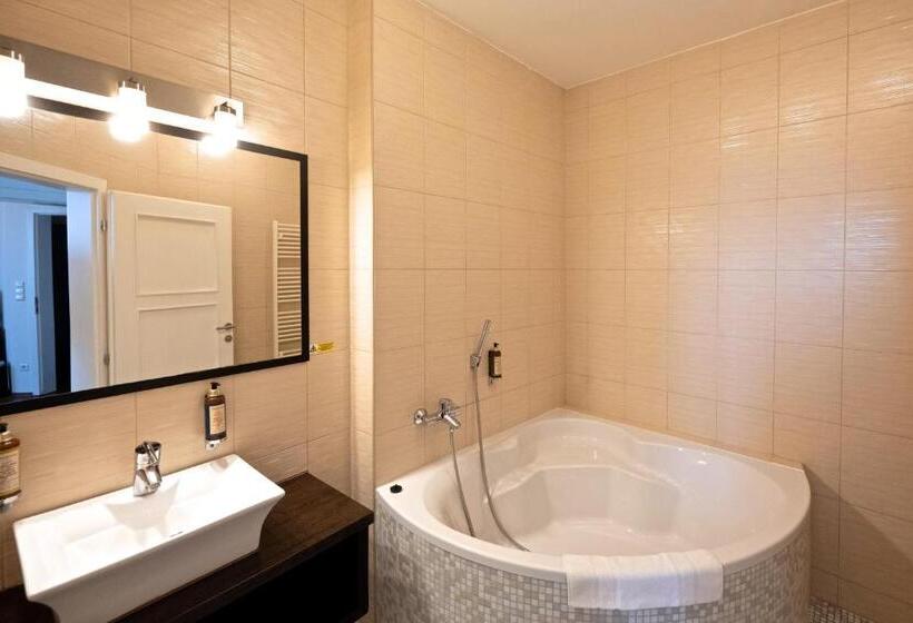 غرفة بيزنس, Grand Hotel Trenčin