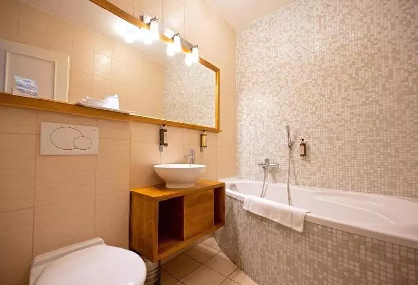 اتاق استاندارد یک نفره, Grand Hotel Trenčin