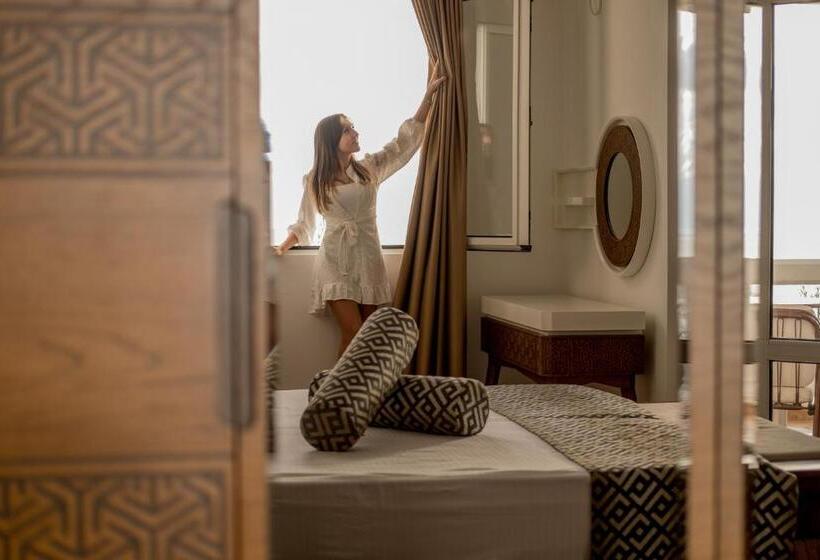 استودیوی استاندارد, Adrović