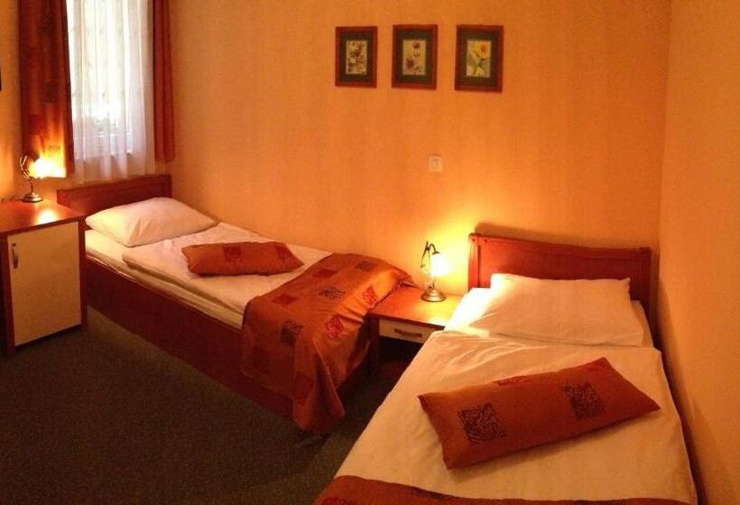 اتاق استاندارد, Aqua Roma