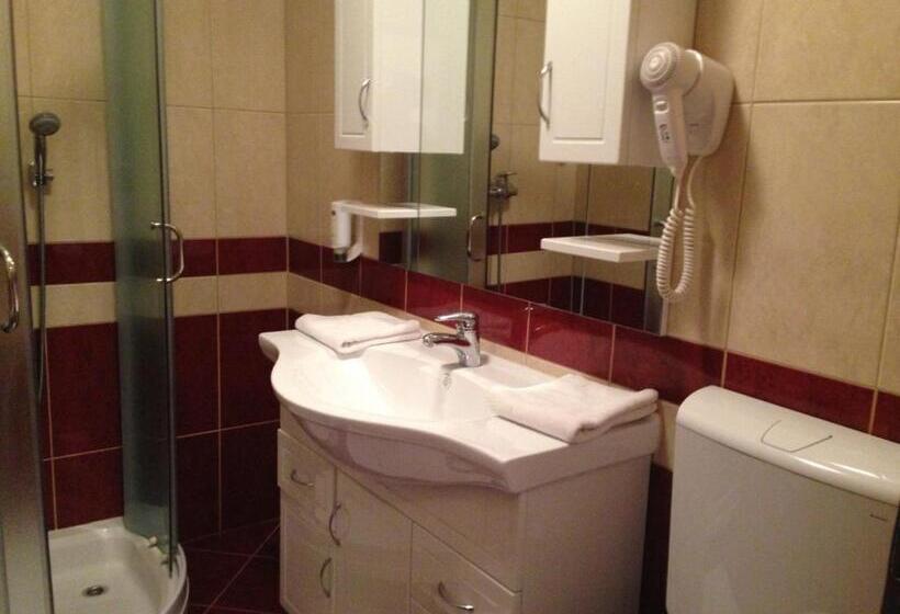 اتاق پنت هاوس, Aqua Roma