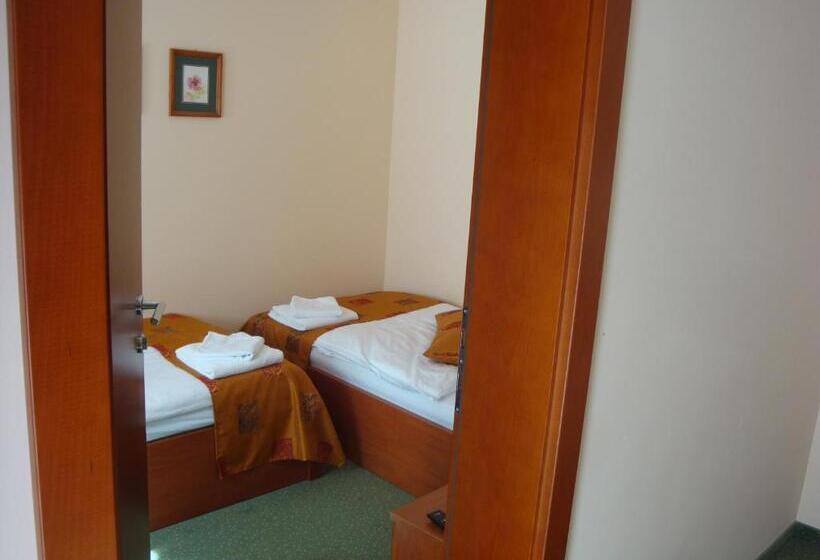 اتاق استاندارد, Aqua Roma