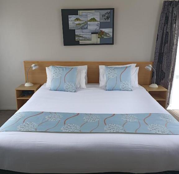 带大床的标准工作室, Asure Macy's Motor Inn