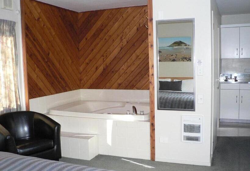 带大床的标准工作室, Asure Macy's Motor Inn