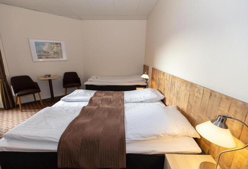 Номер Стандарт Трехместный, Foldens