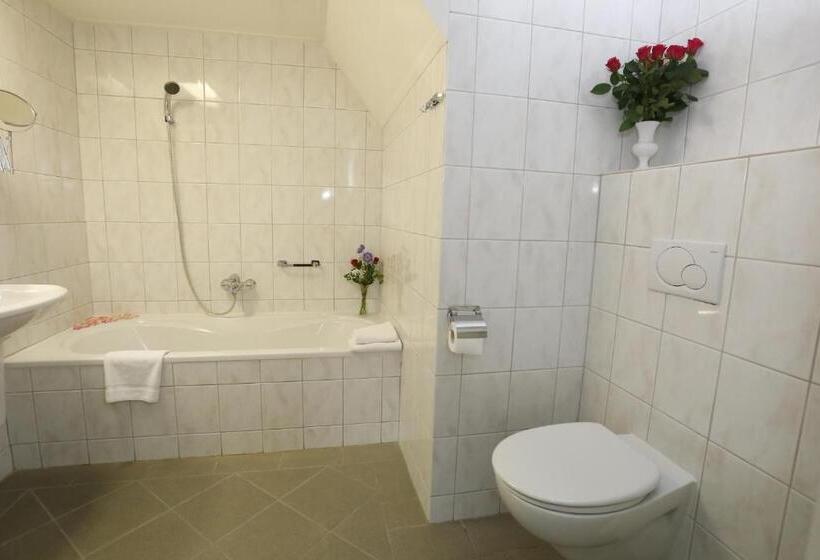 غرفة كومفورت, Het Ros Van Twente