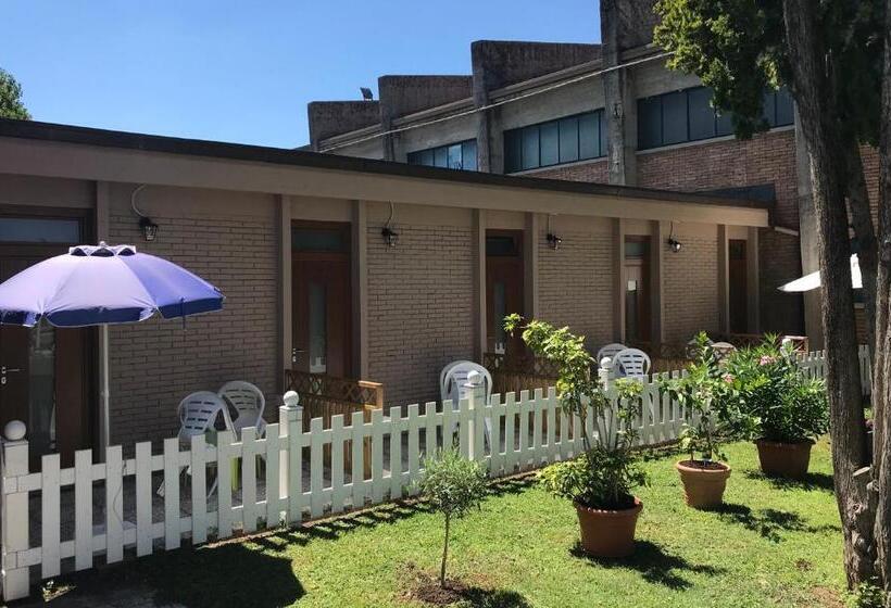 标准单人间, Johnson