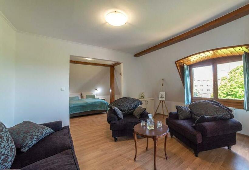 豪华工作室, Kis Helikon Villa