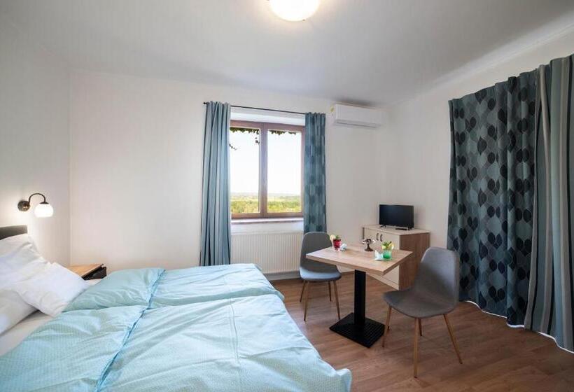 标准间, Kis Helikon Villa