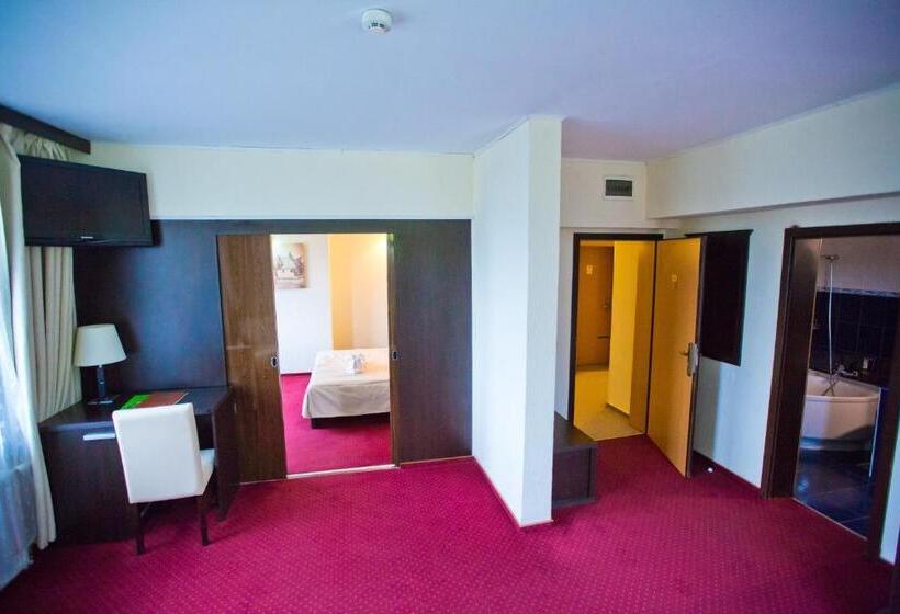 带1个卧室的公寓, Piemonte