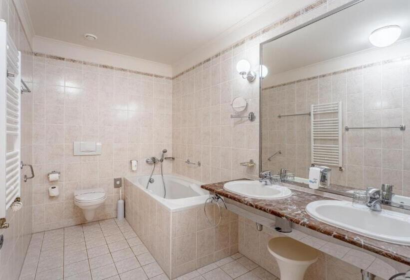 小型套房, Radium Palace