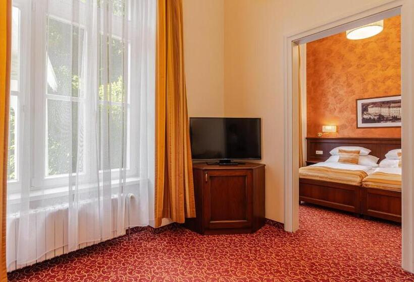 小型套房, Radium Palace