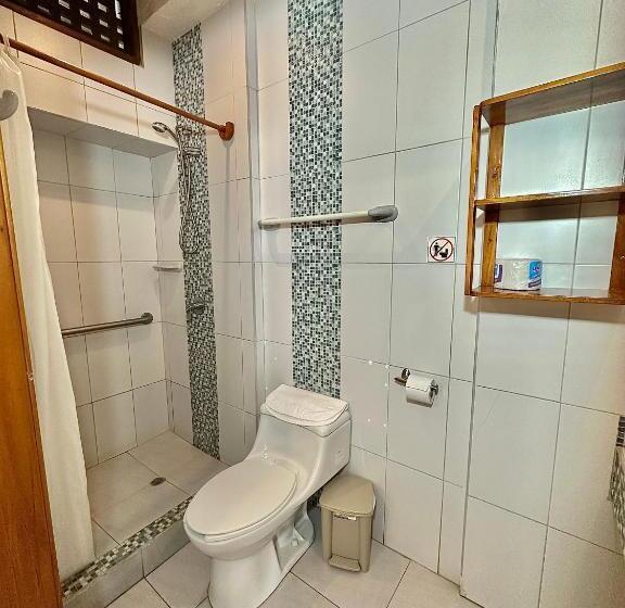 חדר סטנדרט, Silberstein