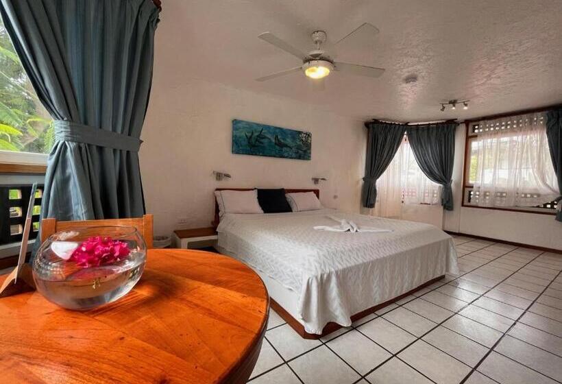 חדר סטנדרט, Silberstein