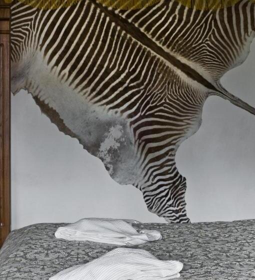 آپارتمان اجرایی 1 خوابه, Zamek Zabreh