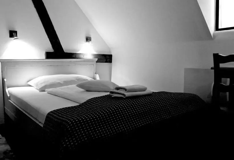 Standard Single Room, Zamek Zabreh