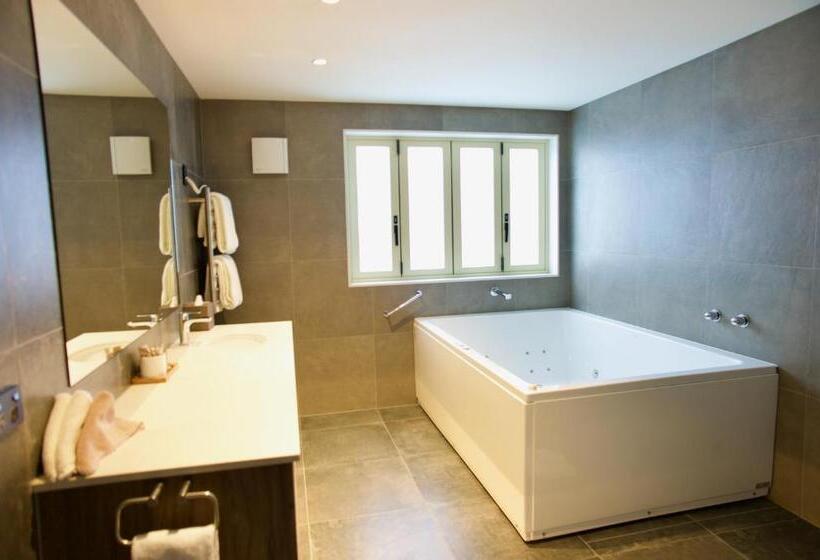 2ベッドルームデラックスアパートメント, Regal Palms Resort