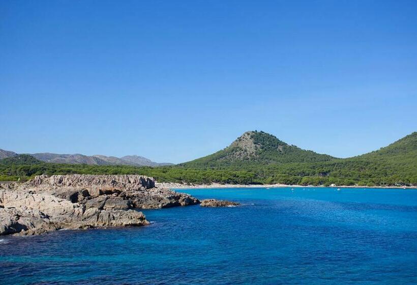 آپارتمان 1 خوابه, Don Quijote