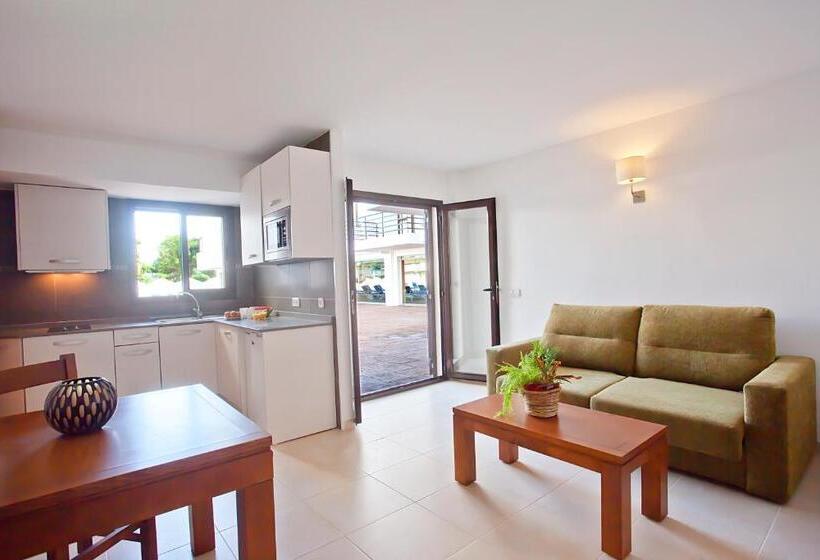 استودیوی استاندارد, Don Quijote