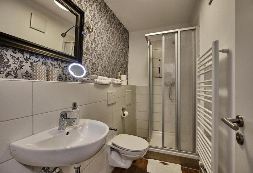 Апартаменты 1 Спальня с Балконом, Boutique Hotel Am Ledererturm