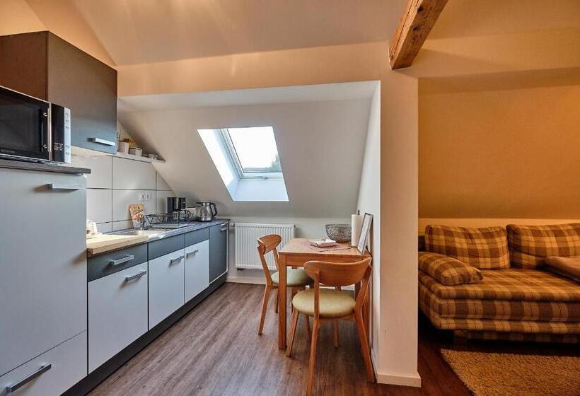 Апартаменты 1 Спальня, Boutique Hotel Am Ledererturm