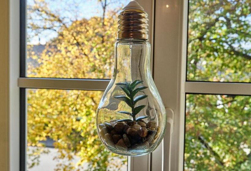 Апартаменты 1 Спальня, Boutique Hotel Am Ledererturm