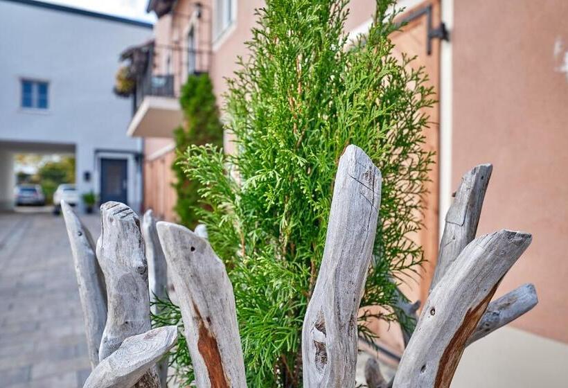 Апартаменты 1 Спальня с Террасой, Boutique Hotel Am Ledererturm