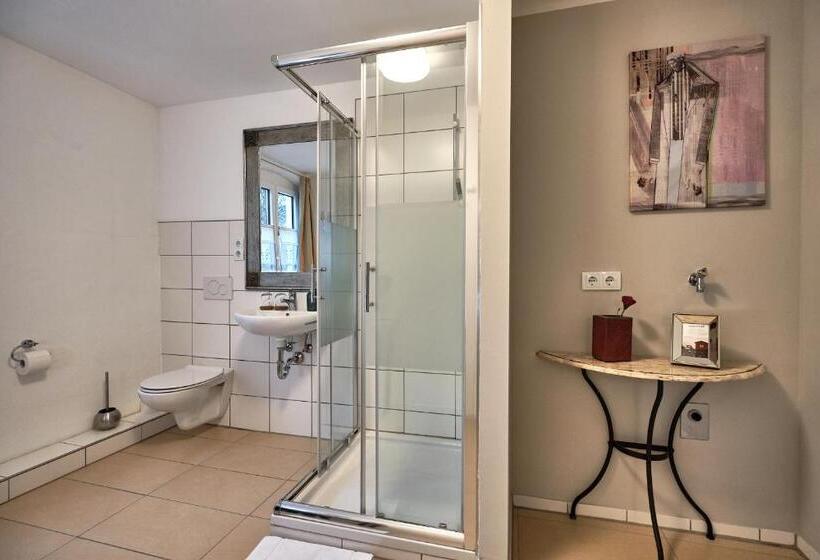 Апартаменты 1 Спальня с Террасой, Boutique Hotel Am Ledererturm