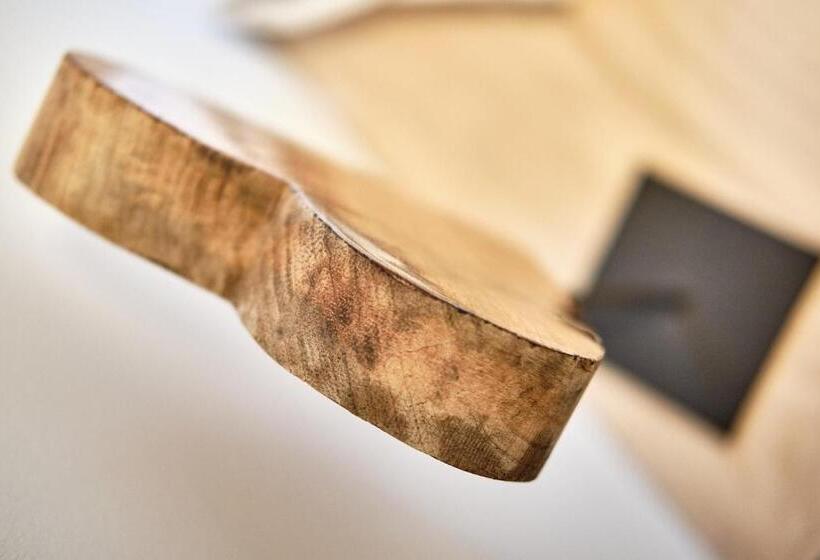 Апартаменты 1 Спальня с Террасой, Boutique Hotel Am Ledererturm