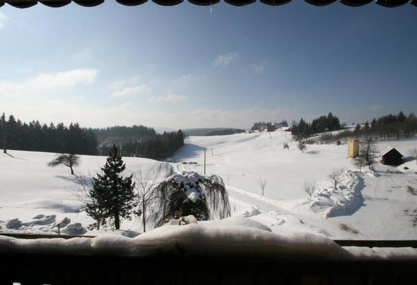 Номер Стандарт с Балконом, Café Pension Feldbergblick