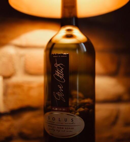 חדר סטנדרט עם טרסה, Crocus Gere Bor Hotel Resort & Wine Spa