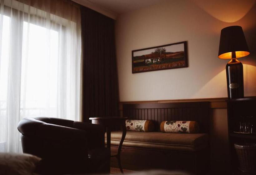 חדר סטנדרט עם טרסה, Crocus Gere Bor Hotel Resort & Wine Spa