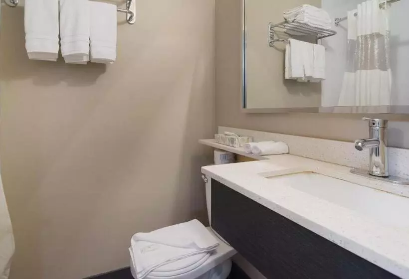 اتاق استاندارد, Canadas Best Value Inn & Suites Kamloops
