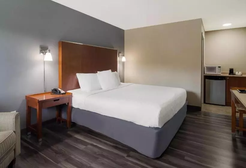 اتاق استاندارد با تخت بزرگ, Canadas Best Value Inn & Suites Kamloops