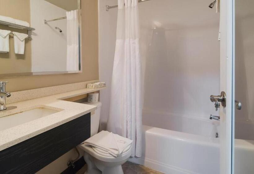 غرفة قياسية سرير كينج, Canadas Best Value Inn & Suites Kamloops