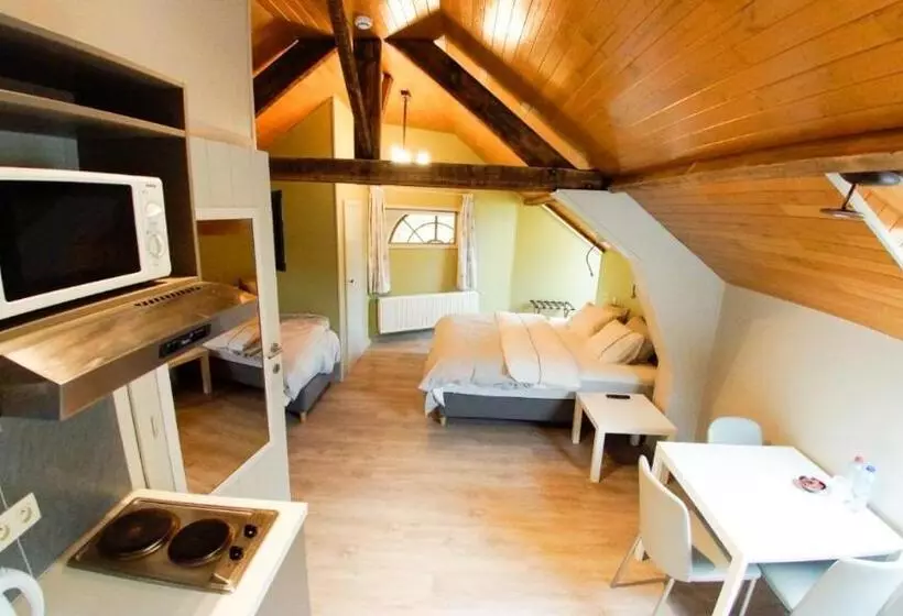 Comfort Kolmen Hengen Huone, B&b Ter Gracht