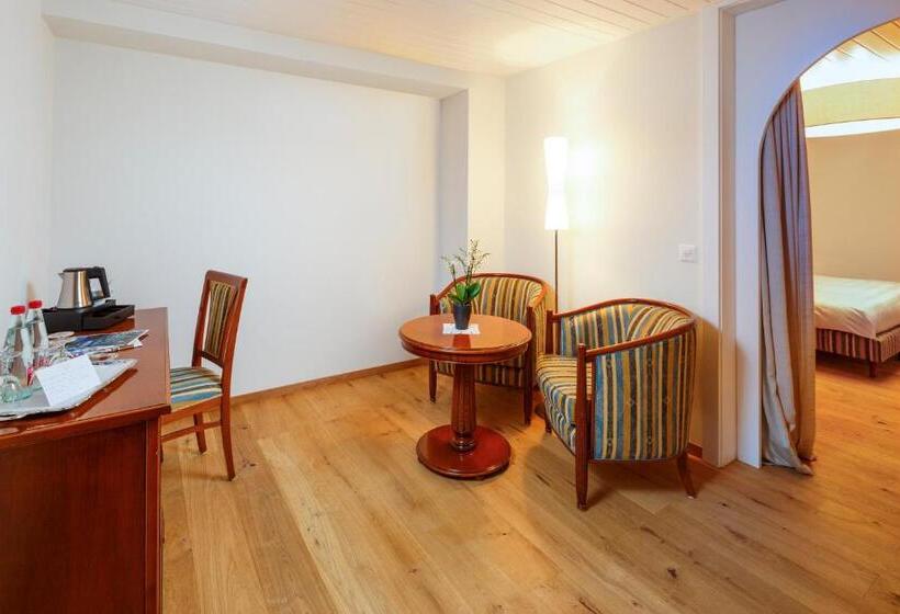 اتاق استاندارد با چشم‌انداز, Beausite Park Hotel & Spa