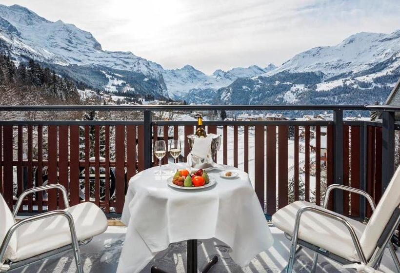 Номер Стандарт Вид на Горы, Beausite Park Hotel & Spa