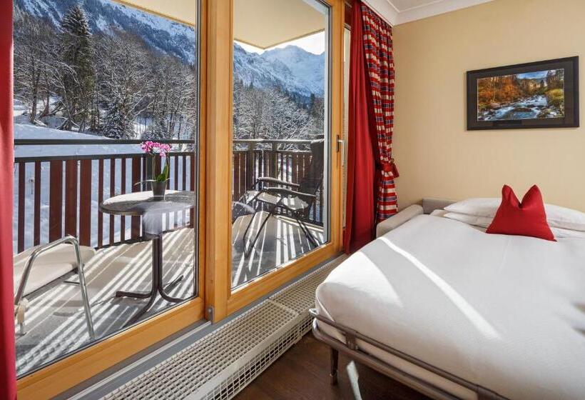 اتاق استاندارد با چشم‌انداز کوهستان, Beausite Park Hotel & Spa