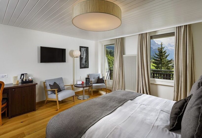 Номер Стандарт Вид на Горы, Beausite Park Hotel & Spa