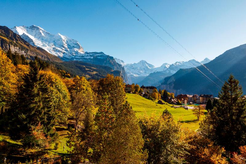 سوئیت جونیور با چشم‌انداز کوهستان, Beausite Park Hotel & Spa