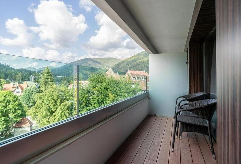 스탠다드 전망 룸, International