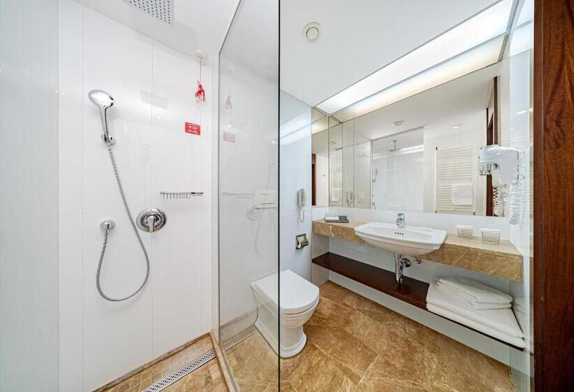 스탠다드 룸, International