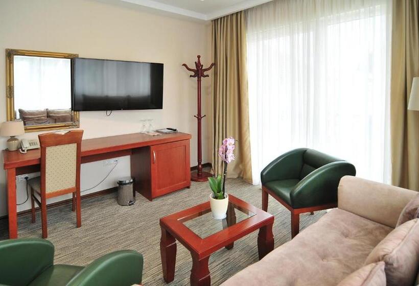 استودیو استاندارد با بالکن, Montenegrino