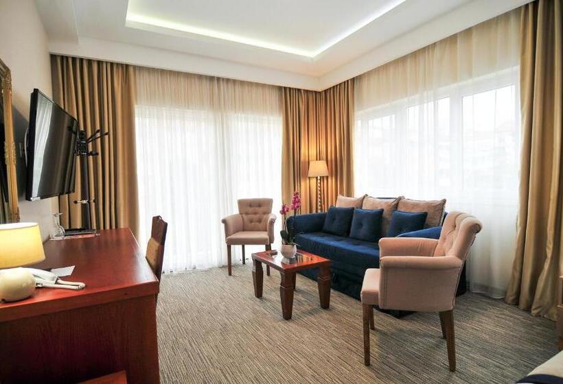 استودیو استاندارد با بالکن, Montenegrino