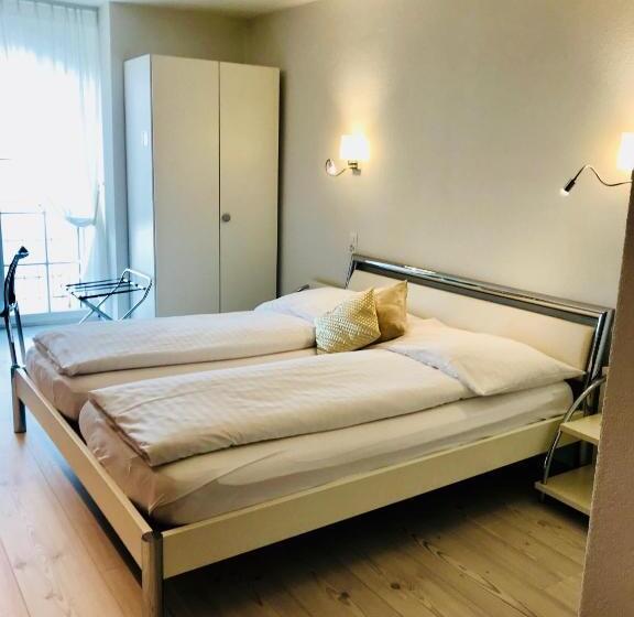 חדר סטנדרט נוף לאגם, Murtenhof & Krone