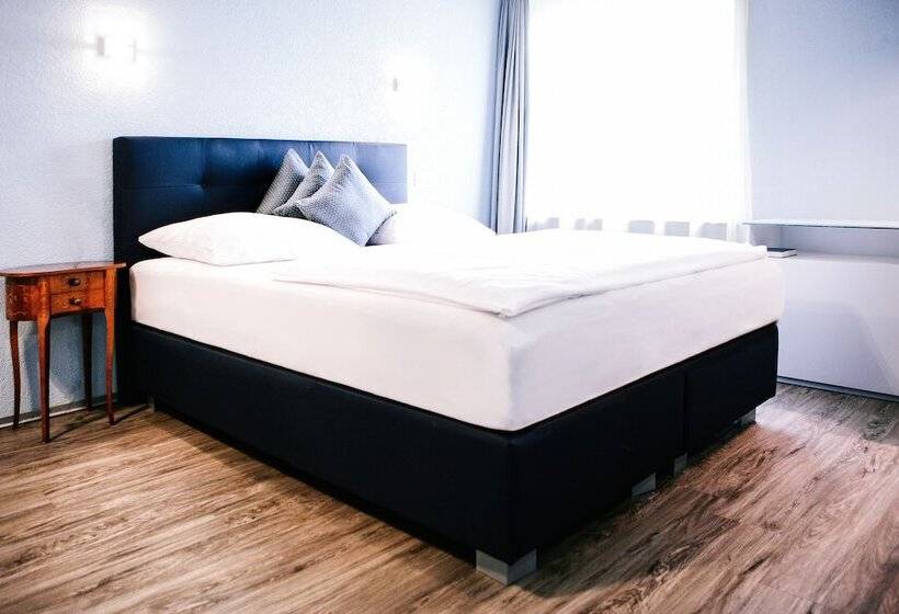 חדר סטנדרט נוף לאגם, Murtenhof & Krone